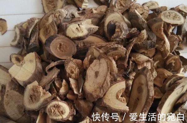 脾肾阳虚|中药刺五加有哪些功效,宁得一把五加,不用金玉满车