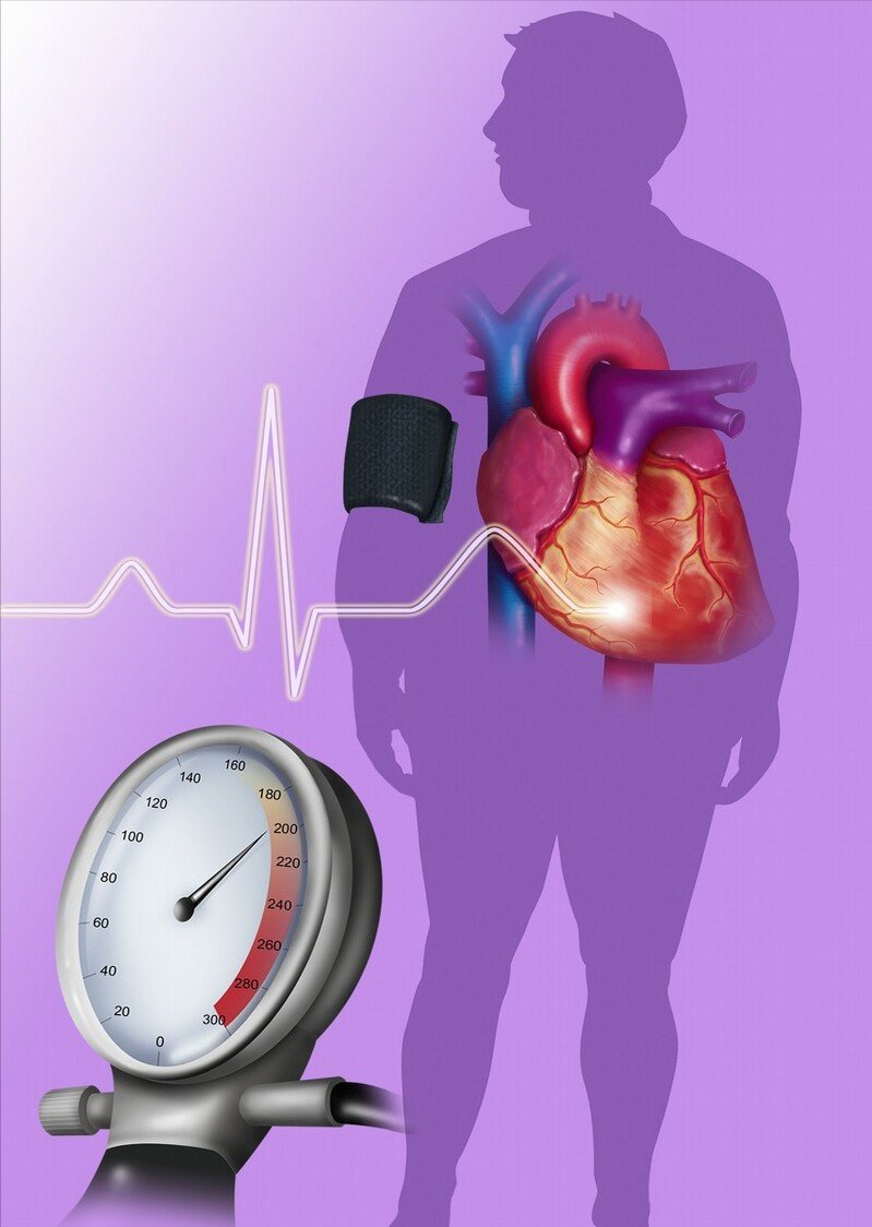 净化|2个中成药，化浊降脂、净化血液、恢复血管弹性，标本兼治高血压