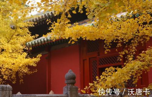 含义!四大部洲所代表的含义是什么?