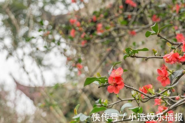 张九龄&12首张九龄诗作语言素练质朴,寄托深远人生