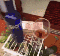 |搞笑GIF： 姐姐 你能矜持点吗