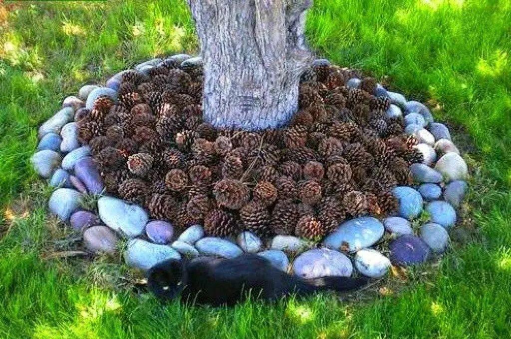 春天拿松针松果壳养花,没干“2件事”,往土里埋只会害花