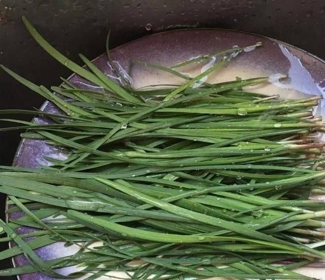 底脆皮软馅香的三鲜水煎包,这么做才好吃