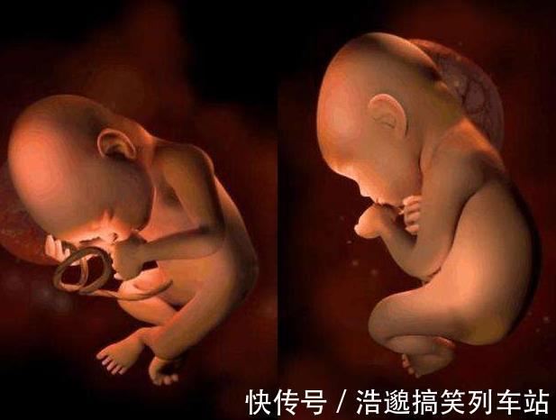 腹壁|胎儿总在夜间胎动,可不是胎儿太淘气,背后原因孕妇别大意