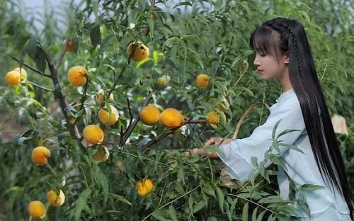 流量明星“杨超越”都要“逃离”农村?我们还要向往乡村生活吗?