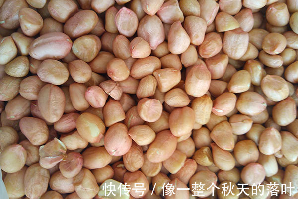 养胃|养生吃补药,不如每天多嚼几粒花生,除了养胃,还有几大好处