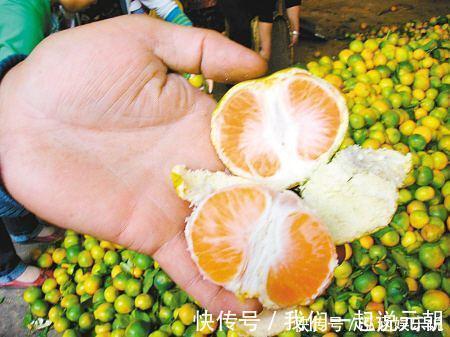 胡萝卜素|糖尿病人吃橘子，是升血糖还是降血糖不少人吃错了，现在告诉你