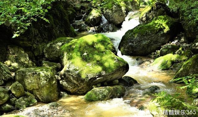 秦岭有多重要地理南北分界线，四条河流分水岭，包含3个5A景点