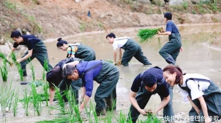 《向往5》悄悄省略了一个环节，遭彭昱畅无情吐槽，黄磊省事了