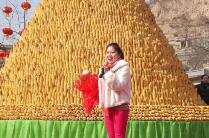 村姑为成名借120万上星光大道，被淘汰后，一怒之下曝光内幕