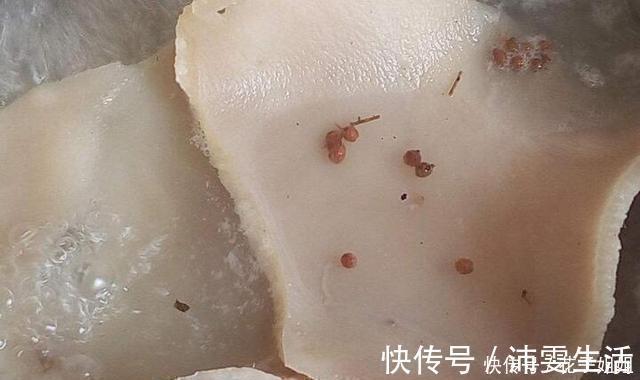 熬猪皮冻时，千万不要直接熬，多做一步，猪皮冻滑嫩筋道无腥味