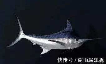 3种鱼含有大量的甲醛、重金属，自家餐桌上，尽量少出现