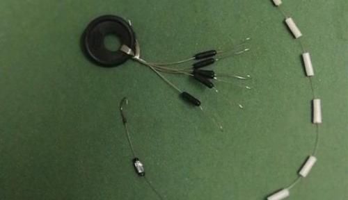 过了处暑鲫鱼越来越好钓,就用这种钓法,上的都是大鲫鱼,很过瘾