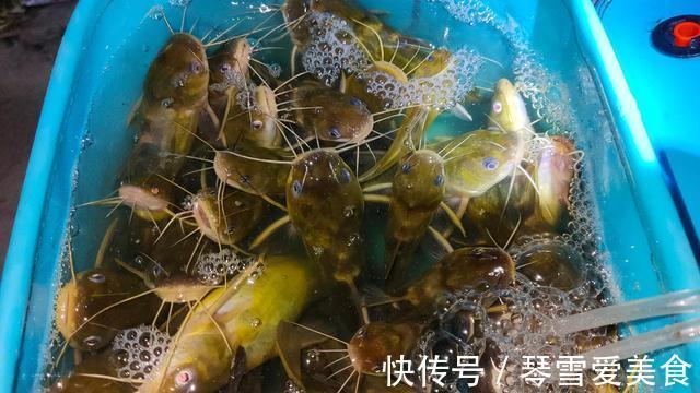 它比蚯蚓还好用,如果你想钓的鱼比别人多,请花1分钟看下