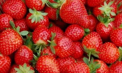 纤维素|想长寿要先养肝,3种食物离不开,排毒养颜,早吃早健康!