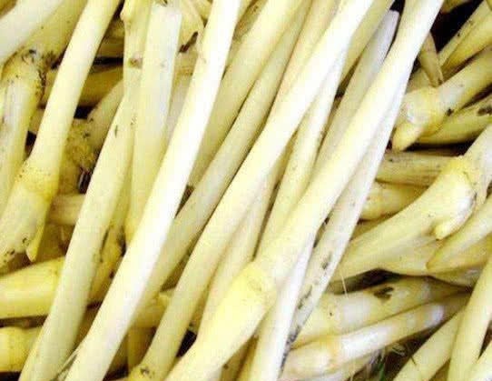 秋天|人到中年想长寿,不妨多吃3种食物,补充营养,身体棒棒哒!