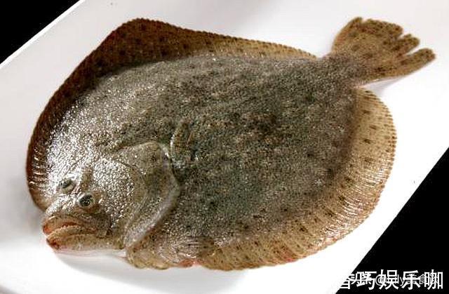 鳜鱼|夏天买鱼，懂行人专挑这5种鱼，肉厚刺少营养高，家人爱吃贵也值