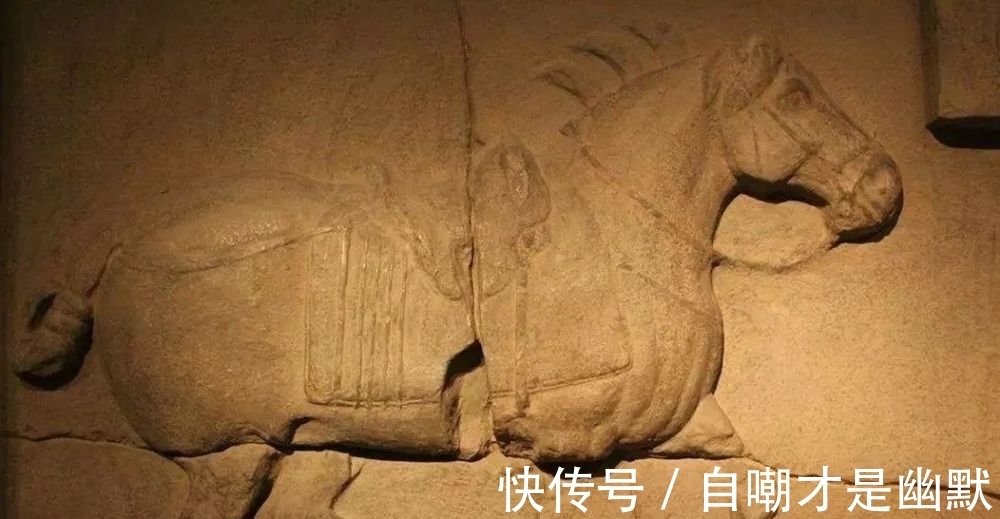 国宝|国宝之殇,吾恸未央!迫藏于美国博物馆的昭陵二骏