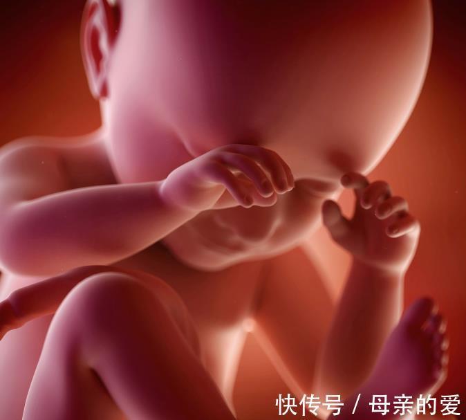 孕妇|孕妇服用药物一定会对胎儿造成畸形?妇科专家为你解答秘密