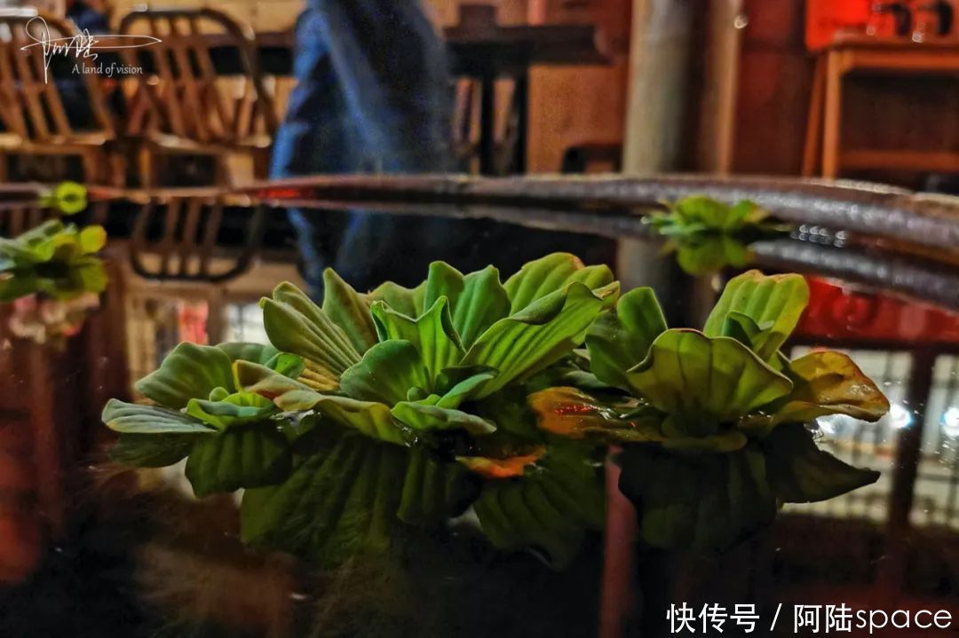 热闹|这座处于深山中的民宿，不只宁静安详，也有其热闹的一面