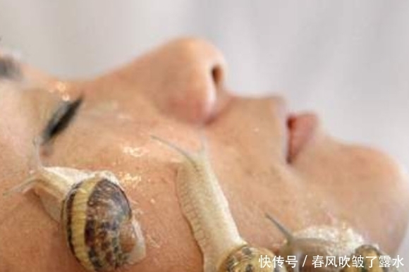 美女将蜗牛放在脸上任其爬行,5分钟后还要自掏腰包“犒赏”蜗牛