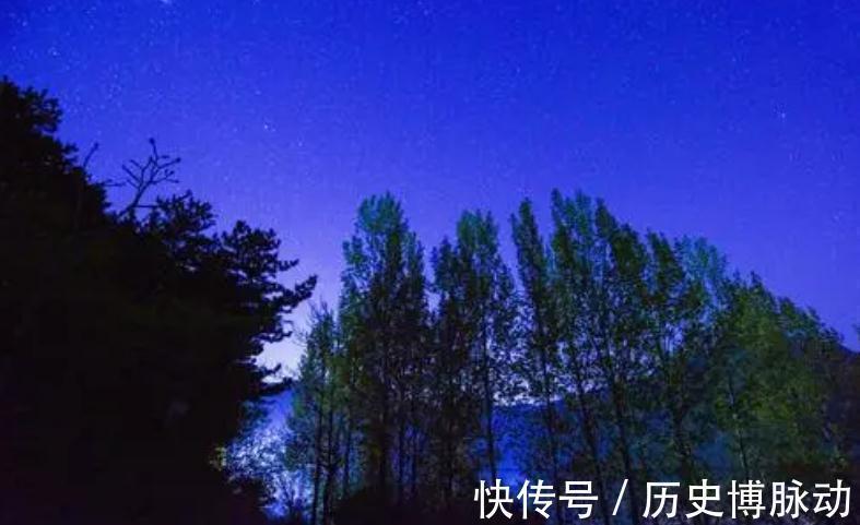 千古名作$小和尚夜里听到一声狗叫,悟出一首千古名作,苏轼点评:太可爱了