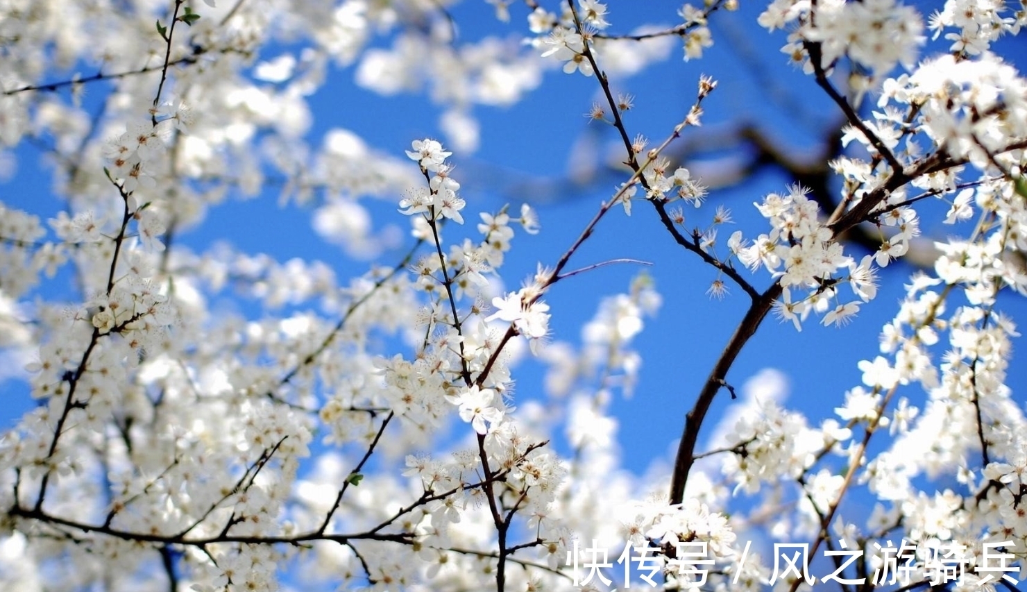 旧情人|8月上旬，岁月如梭，分分合合，3大生肖再遇旧情人，爱得颠沛流离