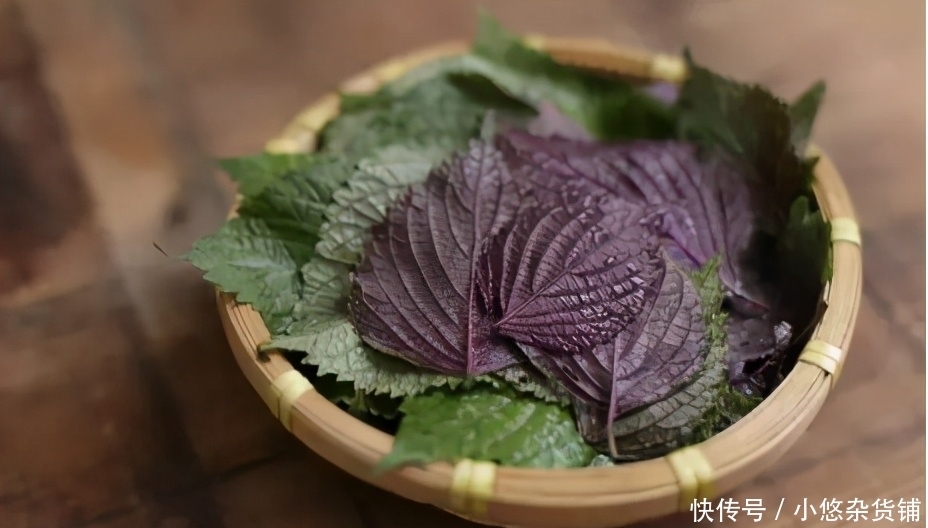 胰岛素|血糖高的人，身体有4个表现，若一个都没有，血糖还算稳定