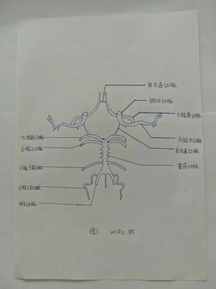 新馆&一年打卡图书馆1424次！复旦学医小姐姐：我不是“卷王”......