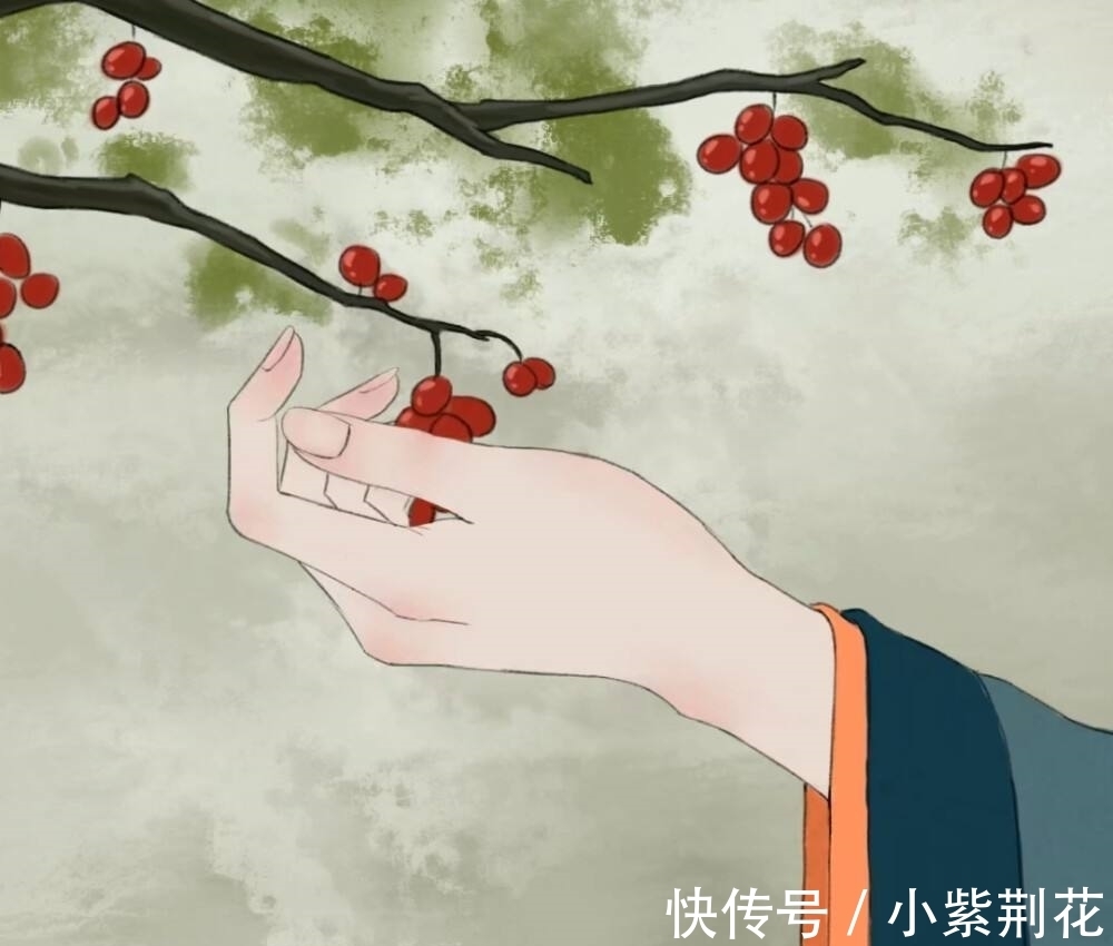 玉妃|月冷小枝寒，雪润玉妃舞，英蕊风中馥郁扬，弄香在、牵情处