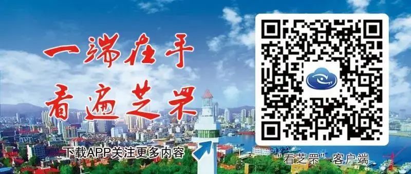 区文|高端“会诊”！打造芝罘滨海黄金旅游带！