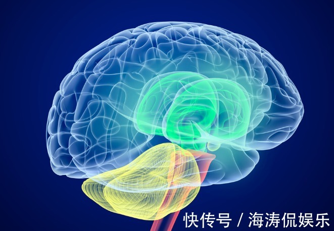 生殖系统|65岁以上还能进行夫妻生活吗遵循4个要诀,适当保持有益身心