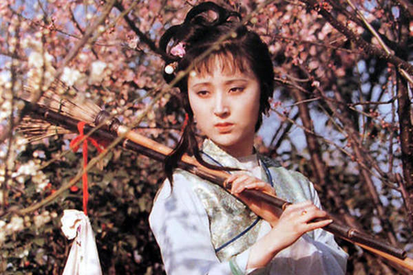 林家!为何林黛玉一死,贾家就被抄了家?看她进荣国府,吃了啥恐怖丸药