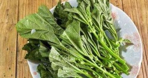 果蔬菜|聪明的人喜欢吃3种食物,排毒养颜,延缓衰老,谁吃谁受益