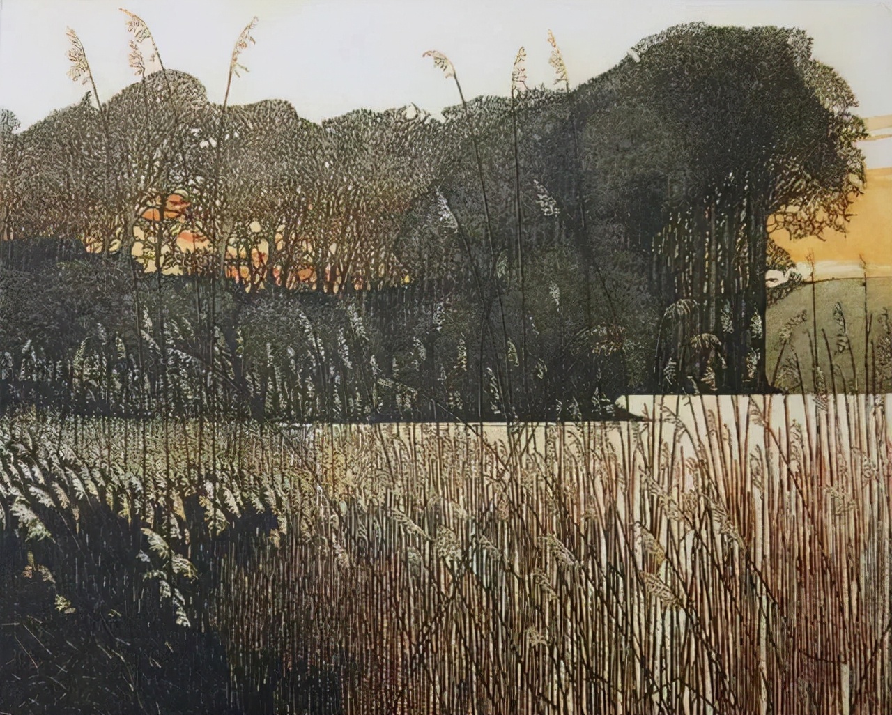 插画师&英国插画师Phil Greenwood的插画,给家里带来一丝文艺田园气息