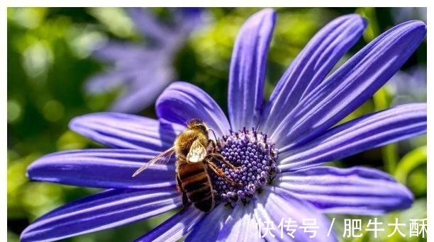 回路|七天后，风风雨雨，破镜重圆，峰回路转，旧情成梦，前景十分美好