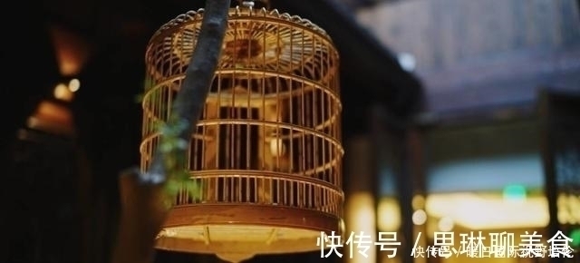 卡尔森&你难以抗拒的心理效应:鸟笼效应!看惯性思维如何将你的人生套牢