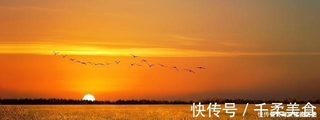 天下&天下第一骈文,全文773字包含40个成语,句句都是绝唱