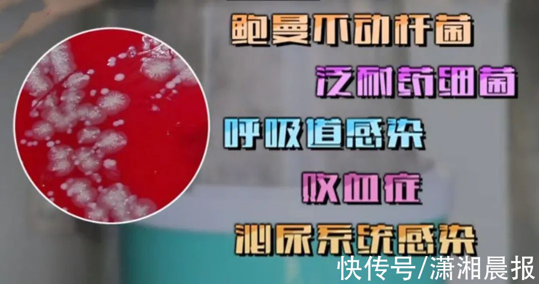 服用|湖南一女子摔跤后感染“超级细菌”！医生：这些药别乱吃