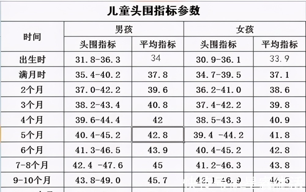 智力|孩子脑袋大就聪明？影响孩子智力的其实是这3样，家长别被骗了