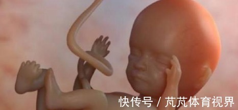 孕期|胎儿的性别,事实是在孕期的这个时间段形成的,宝妈们来看看