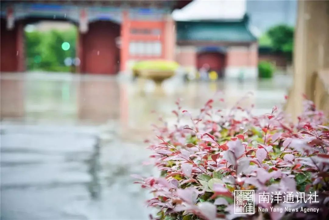 我“雨”最美校园，一起云赏沪上46所高校雨中即景