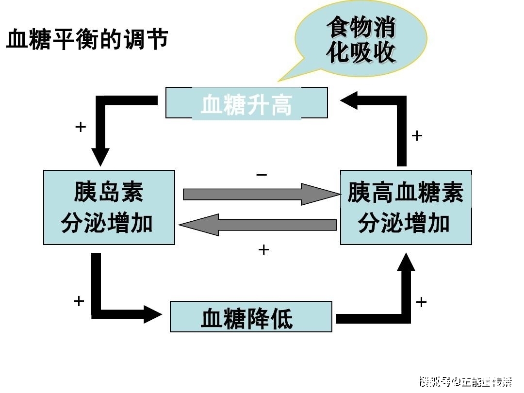 现象|血糖失控，腿部提前“告知”！腿部若有这四种现象，应控糖了