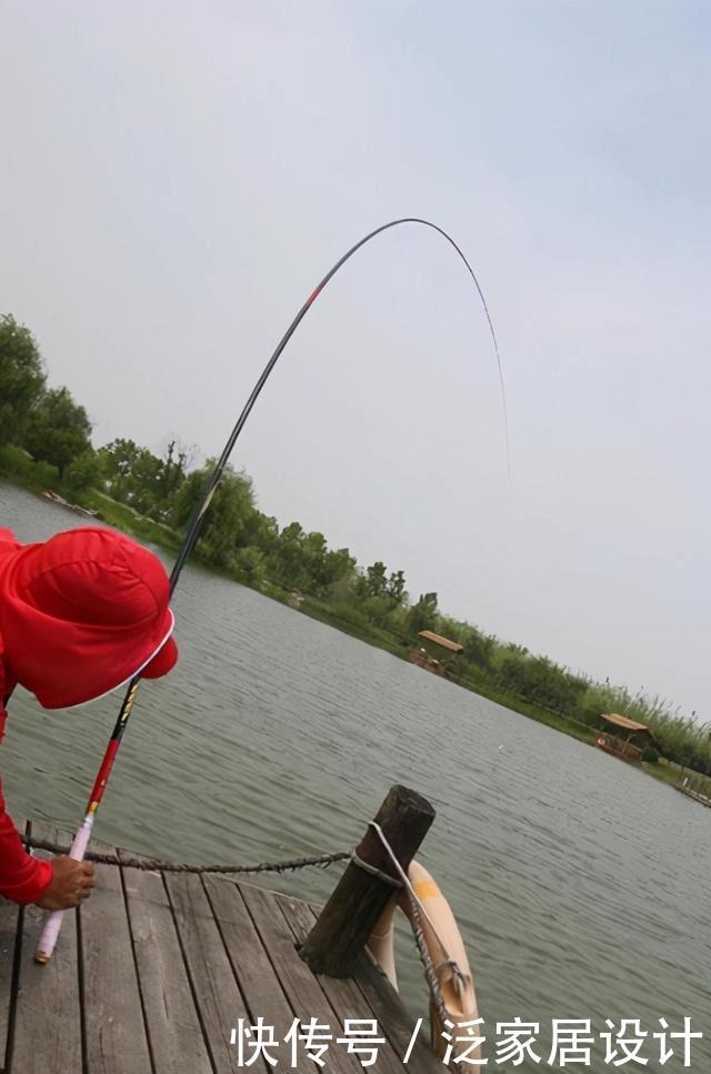 突遇大鱼想要拉上岸怎么办?新手必看的遛鱼技巧