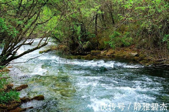 终生|陆游诗中两句千古名句，仅14字，受用终生！