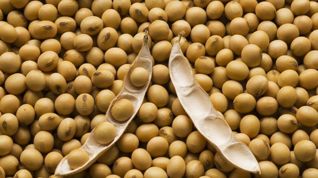 优质蛋白|促进青少年长高的6种食物,帮孩子冲刺发育期,身边就能买