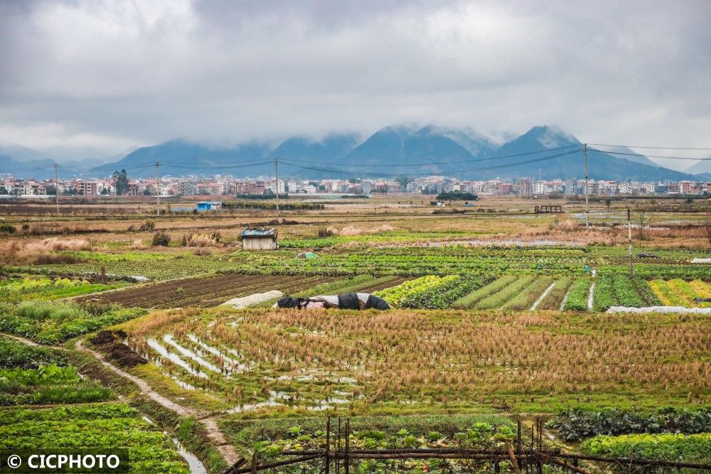 乡村|湖南蓝山：雨后乡村春色美