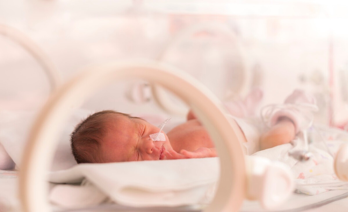 蔬菜|孕晚期有三种蔬菜或引发假宫缩,既影响预产期判断,又易致早产