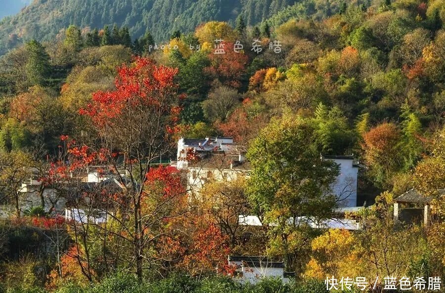 带走|塔川，轻轻地我来了，不带走一片云彩，带走的是绚丽秋色