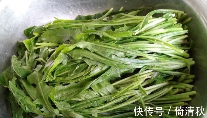 野菜|农村人人识的一种“野草”,它能吃还是好药材,价值宝贵如今稀少